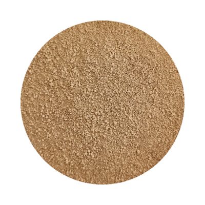 Coconut Foundation