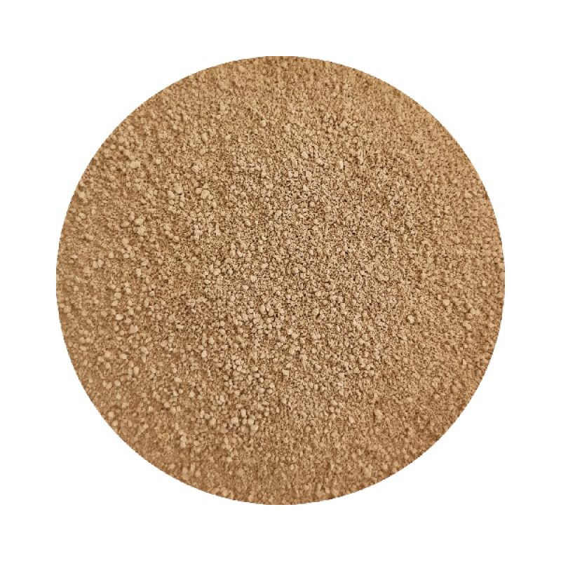 Coconut Foundation