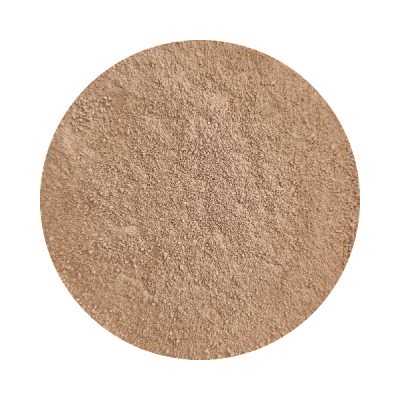 Hickory Nut Foundation