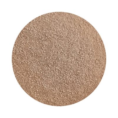 Pine Nut Foundation